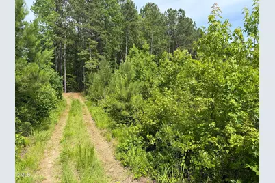 0 John Robert Headen Road, Moncure, NC 27559 - Photo 11