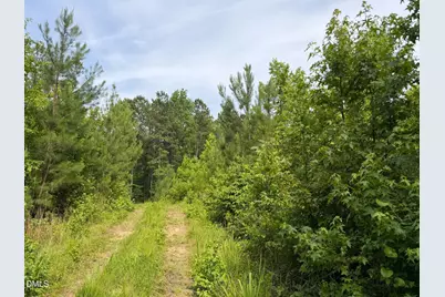 0 John Robert Headen Road, Moncure, NC 27559 - Photo 13