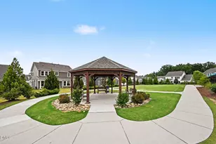 2719 Corydalis Wy, Apex, NC 27502 - Photo 43