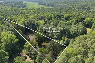1304 Flying Hawk Rd, Apex, NC 27523 - Photo 47
