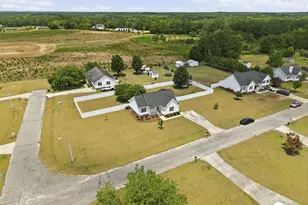 292 River Birch Run, Coats, NC 27521 - Photo 5