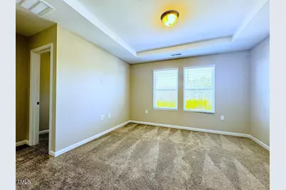 432 Sustainable Way, Raleigh, NC 27610 - Photo 9