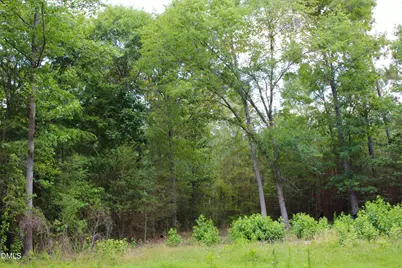 1920 Alston Chapel Road, Pittsboro, NC 27312 - Photo 1