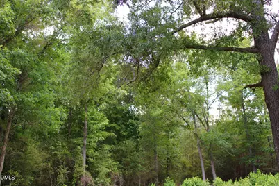 1920 Alston Chapel Road, Pittsboro, NC 27312 - Photo 9