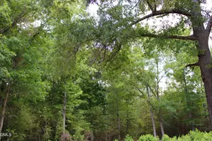 1920 Alston Chapel Rd, Pittsboro, NC 27312 - Photo 9