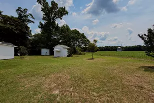 389 Luby Smith Rd, Princeton, NC 27569 - Photo 7