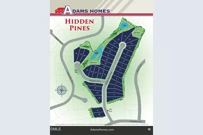 242 Hidden Pines Drive, Cameron, NC 28326 - Photo 23