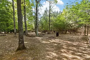 1006 Canterbury Ct, Youngsville, NC 27596 - Photo 49