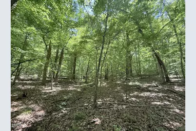 0 Buttonwood Ln, Roxboro, NC 27574 - Photo 9