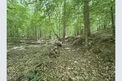 0 Buttonwood Ln, Roxboro, NC 27574 - Photo 19