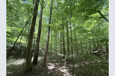 0 Buttonwood Ln, Roxboro, NC 27574 - Photo 13