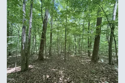 0 Buttonwood Ln, Roxboro, NC 27574 - Photo 15