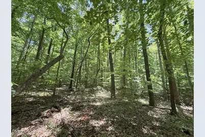 0 Buttonwood Ln, Roxboro, NC 27574 - Photo 23