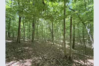 0 Buttonwood Ln, Roxboro, NC 27574 - Photo 17
