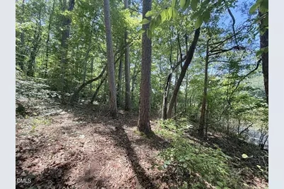 0 Buttonwood Ln, Roxboro, NC 27574 - Photo 25