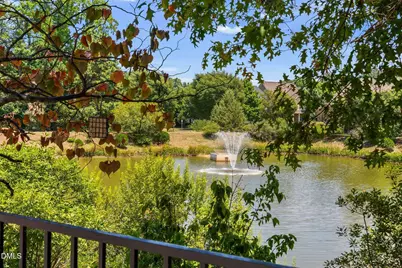 929 Shoofly Path, Apex, NC 27502 - Photo 31