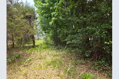 4901 Bluebird House Lane, Raleigh, NC 27616 - Photo 7