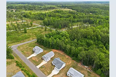 117 Nutbush Creek Lane, Norlina, NC 27563 - Photo 43