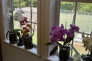 1420 Ferrells Bridge Rd, Louisburg, NC 27549 - Photo 17