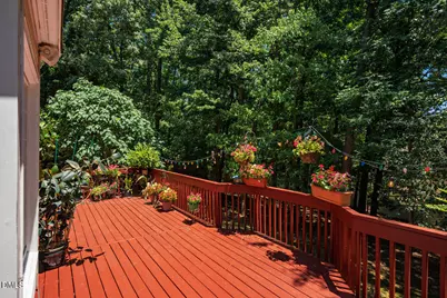 102 Buck Taylor Trail, Chapel Hill, NC 27516 - Photo 45