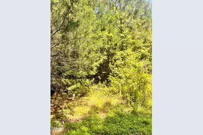 9220 Eisenhower Drive, Apex, NC 27539 - Photo 5