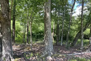 607 Far Post Dr, Fuquay-Varina, NC 27526 - Photo 39