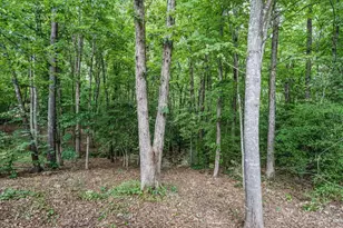 406 Cricket Hearth Rd, Sanford, NC 27330 - Photo 41