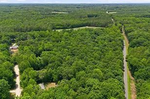 172 Sourwood Ln, Hurdle Mills, NC 27541 - Photo 23