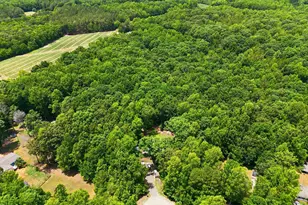 172 Sourwood Ln, Hurdle Mills, NC 27541 - Photo 23