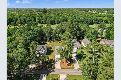 169 Black Cloud Drive, Louisburg, NC 27549 - Photo 39