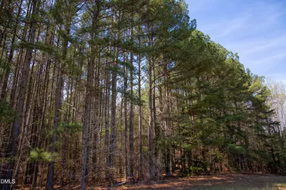 00 19 Acs Doll Branch Road, Milton, NC 27305 - Photo 9