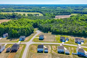 480 Bunker Hl Pl, Angier, NC 27501 - Photo 3
