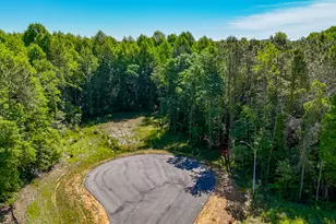 480 Bunker Hl Pl, Angier, NC 27501 - Photo 7