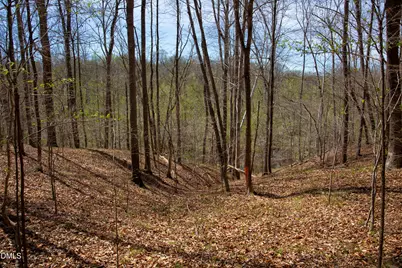 0 Doll Branch Road, Milton, NC 27305 - Photo 35