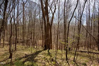 0 Doll Branch Road, Milton, NC 27305 - Photo 37