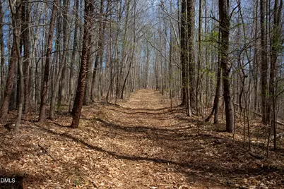 0 Doll Branch Road, Milton, NC 27305 - Photo 23