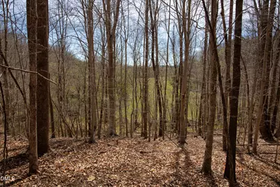 0 Doll Branch Road, Milton, NC 27305 - Photo 19