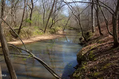 0 Doll Branch Road, Milton, NC 27305 - Photo 21