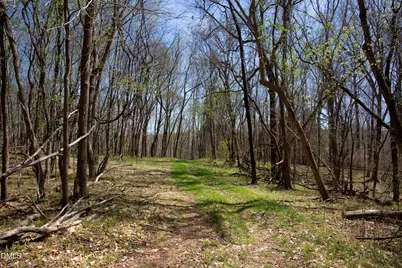 0 Doll Branch Road, Milton, NC 27305 - Photo 39