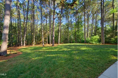 1016 Blykeford Lane, Wake Forest, NC 27587 - Photo 47