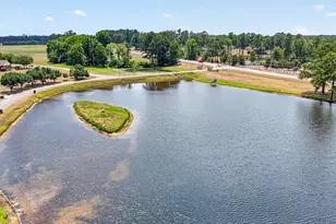 9245 Chickapee Dr, Linden, NC 28356 - Photo 83