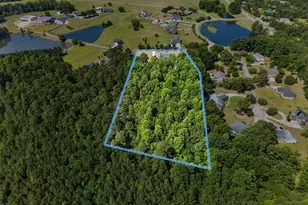 9245 Chickapee Dr, Linden, NC 28356 - Photo 89
