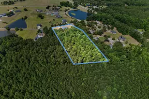 9245 Chickapee Dr, Linden, NC 28356 - Photo 85