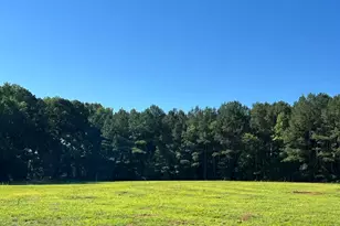 153 Big Pine Rd, Clayton, NC 27520 - Photo 19