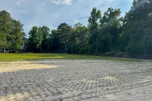 113 Pine Log Ln, Roseboro, NC 28382 - Photo 45