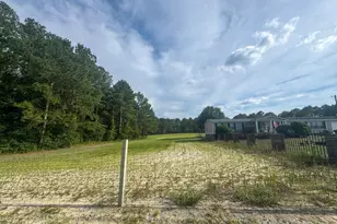 113 Pine Log Ln, Roseboro, NC 28382 - Photo 39