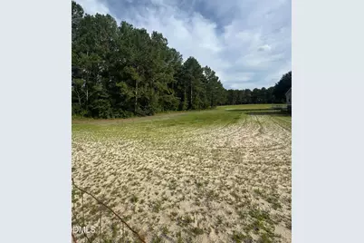 113 Pine Log Lane, Roseboro, NC 28382 - Photo 41