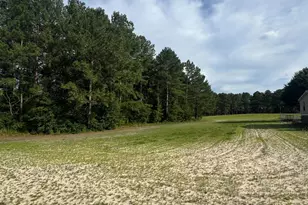 113 Pine Log Ln, Roseboro, NC 28382 - Photo 41
