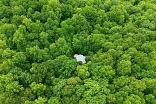 1056 Beaver Dam Rd, Chapel Hill, NC 27517 - Photo 59
