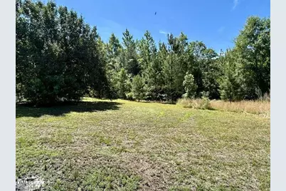 8365 Dirgie Mine Road, Roxboro, NC 27574 - Photo 3